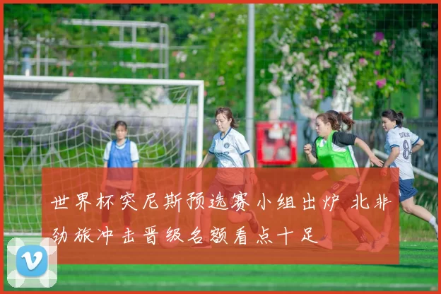 世界杯突尼斯预选赛小组出炉 北非劲旅冲击晋级名额看点十足