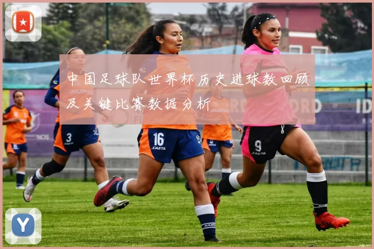 中国足球队世界杯历史进球数回顾及关键比赛数据分析