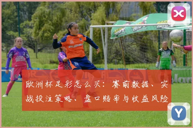 欧洲杯足彩怎么买:赛前数据、实战投注策略、盘口赔率与收益风险评估