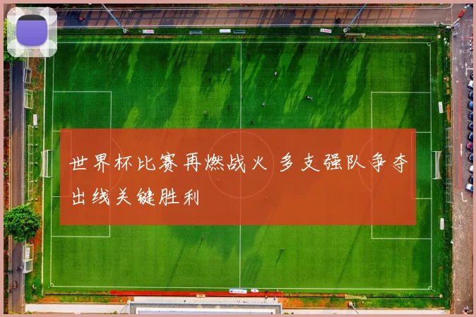 世界杯比赛再燃战火 多支强队争夺出线关键胜利