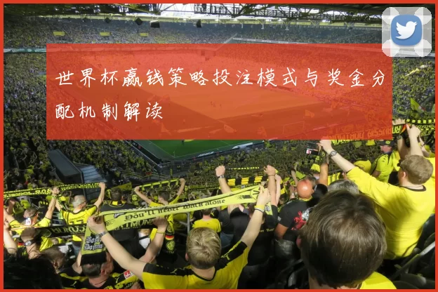 世界杯赢钱策略投注模式与奖金分配机制解读