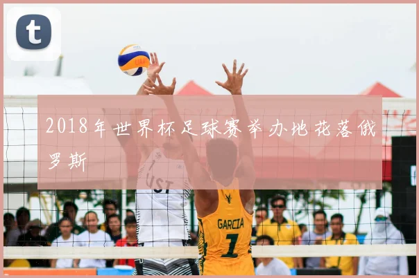 2018年世界杯足球赛举办地花落俄罗斯