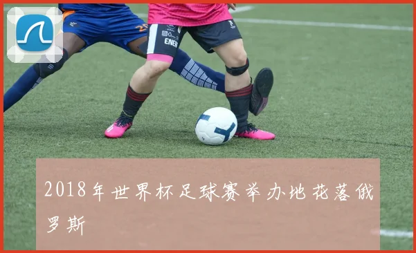 2018年世界杯足球赛举办地花落俄罗斯