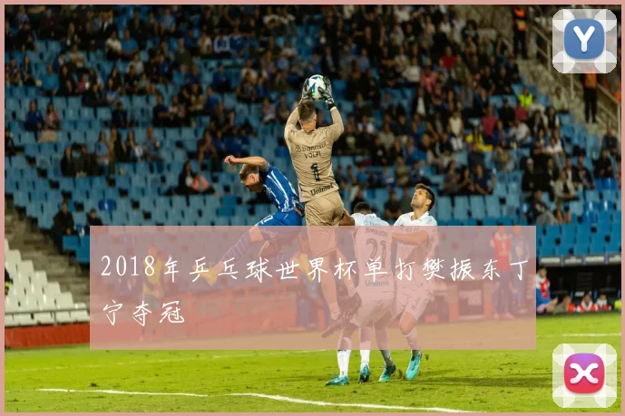 2018年乒乓球世界杯单打樊振东丁宁夺冠