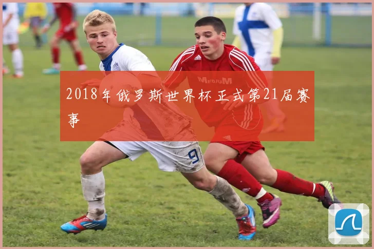 2018年俄罗斯世界杯正式第21届赛事