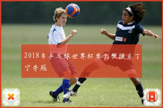 2018年乒乓球世界杯单打樊振东丁宁夺冠