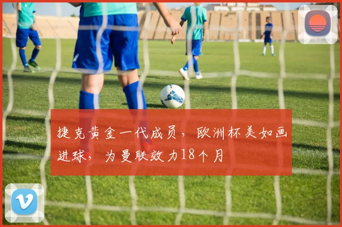 捷克黄金一代成员，欧洲杯美如画进球，为曼联效力18个月